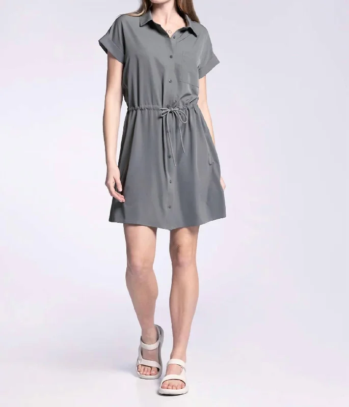 Billy Dress In Pewter